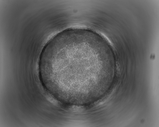 X0000101710487200808071227