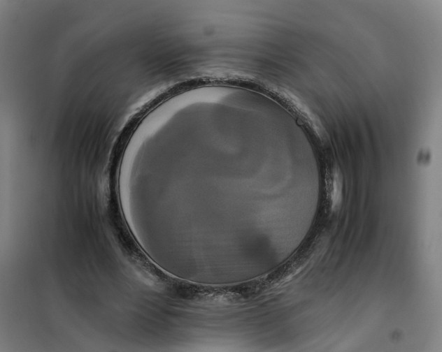 X0000101710488200808071227