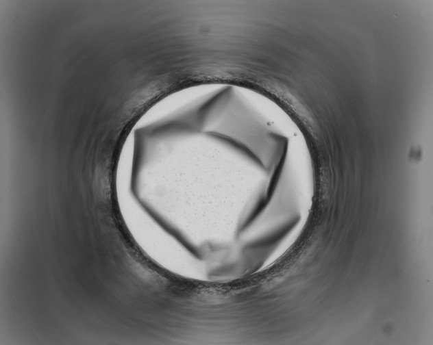 X0000101710489200808071227