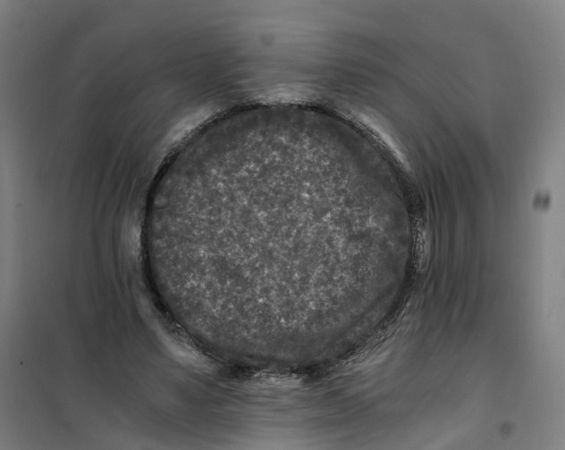 X0000101710491200808071226