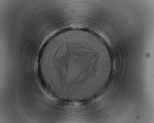 X0000101710492200808071226