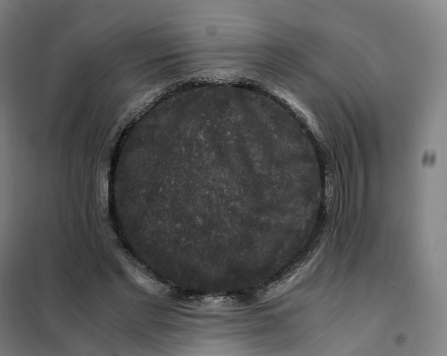X0000101710493200808071226