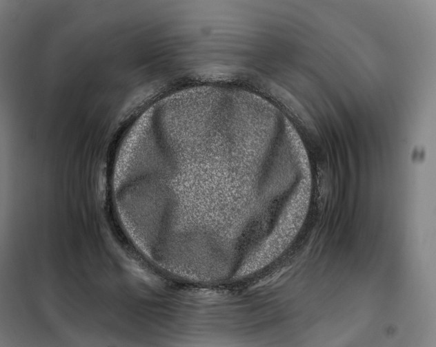 X0000101710494200808071226