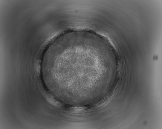 X0000101710495200808071226
