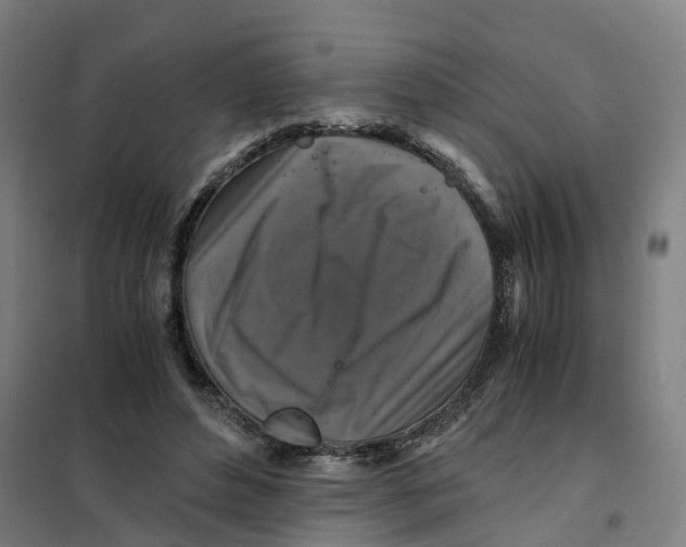 X0000101710496200808071226