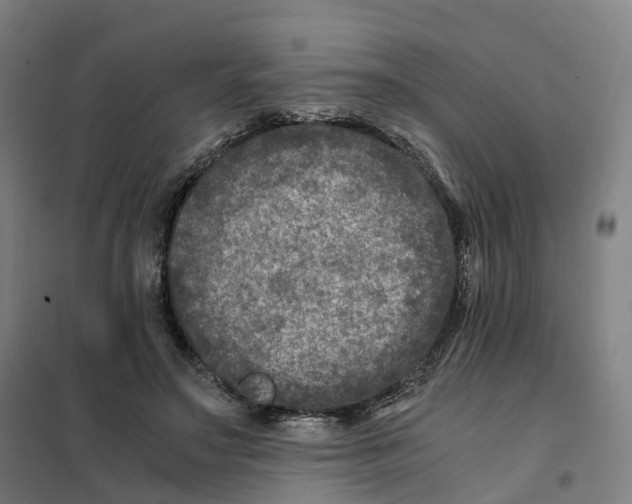 X0000101710499200808071226