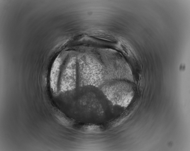 X0000101710501200808071226
