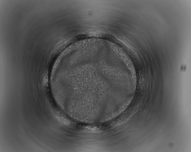 X0000101710502200808071226