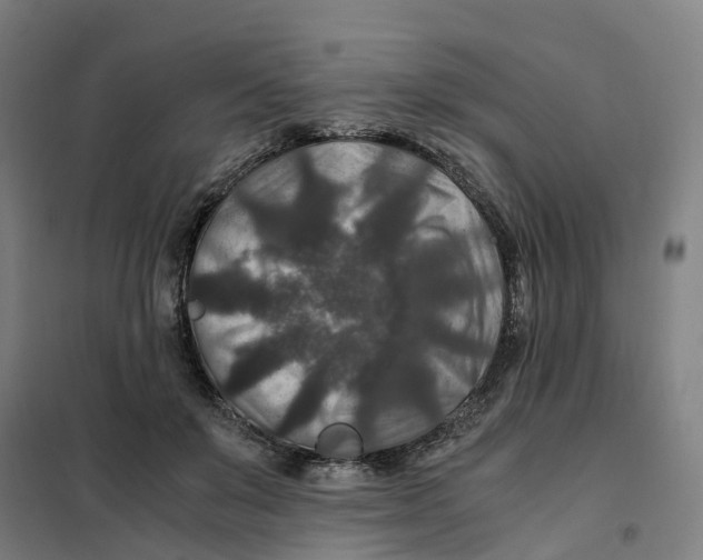 X0000101710503200808071226
