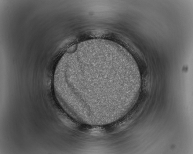 X0000101710505200808071226