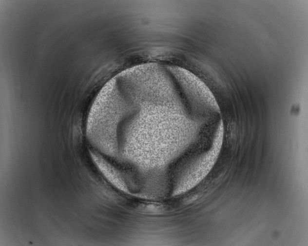 X0000101710506200808071226