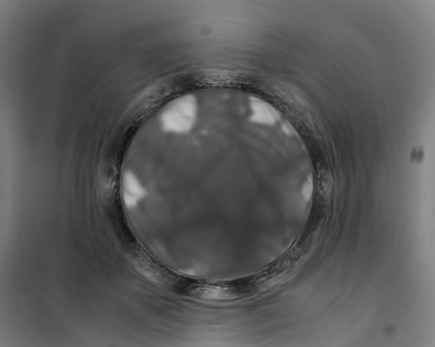 X0000101710507200808071226