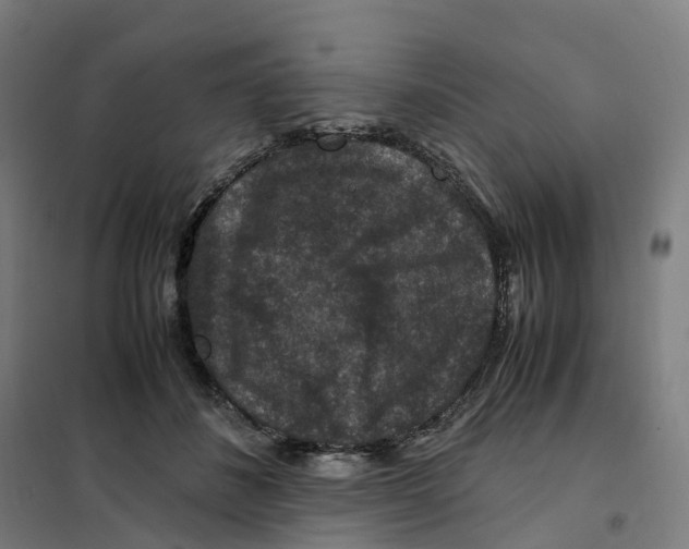 X0000101710508200808071226