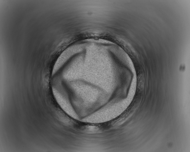 X0000101710509200808071226