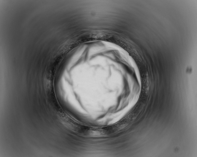 X0000101710510200808071226
