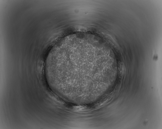 X0000101710511200808071226