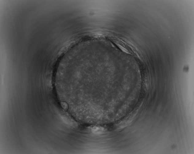 X0000101710512200808071226