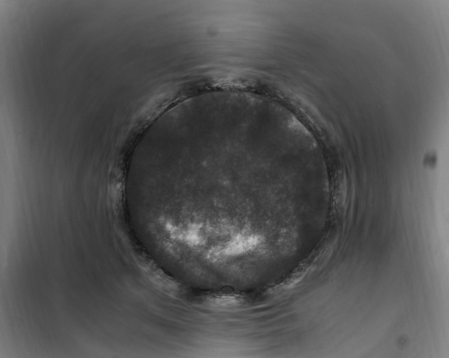 X0000101710513200808071226