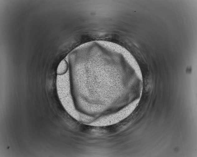 X0000101710515200808071226