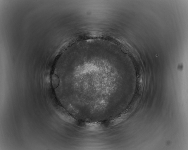 X0000101710516200808071226