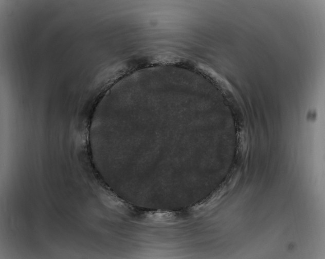 X0000101710517200808071226