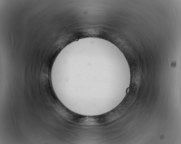 X0000101710518200808071226