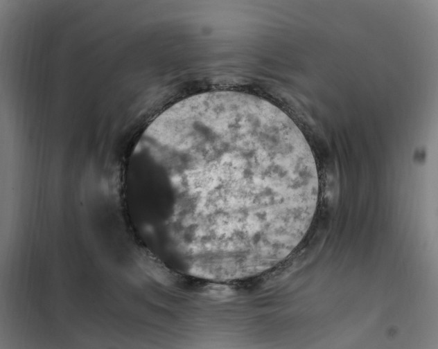 X0000101710519200808071226