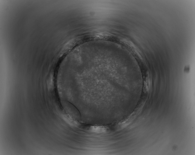 X0000101710520200808071226