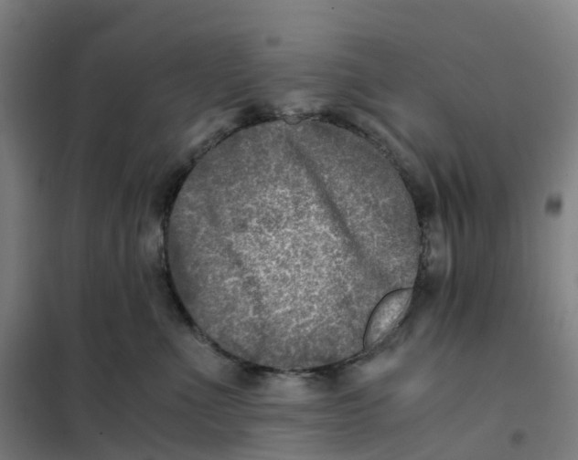 X0000101710523200808071226