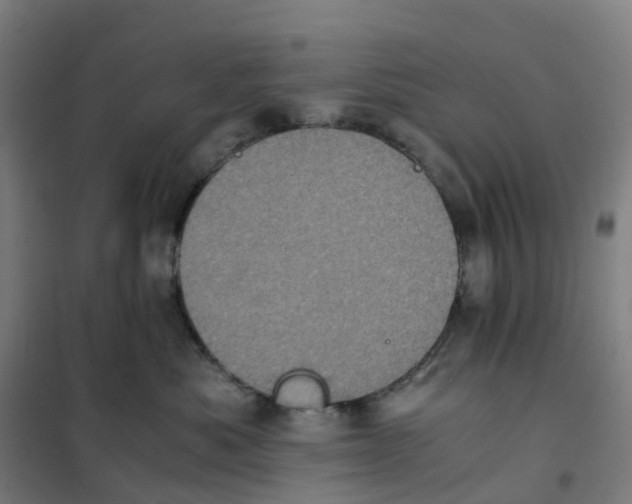 X0000101710525200808071226
