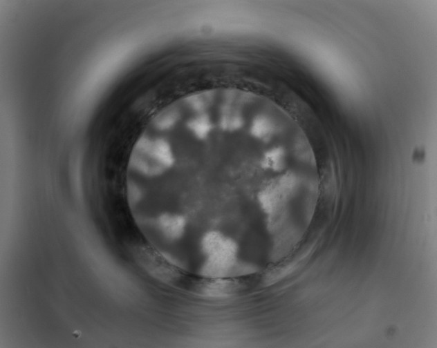 X0000101710527200808071226