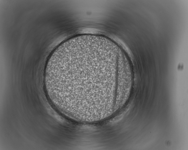 X0000101710529200808071225