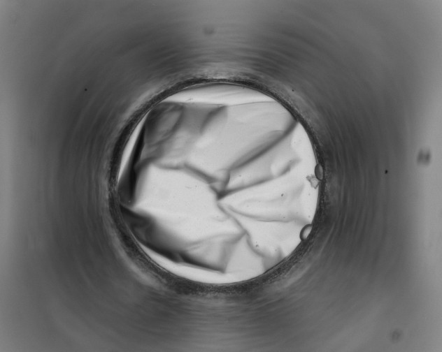 X0000101710530200808071225