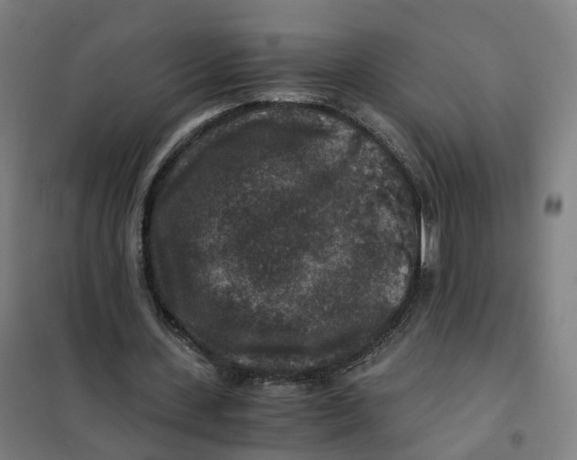 X0000101710531200808071225