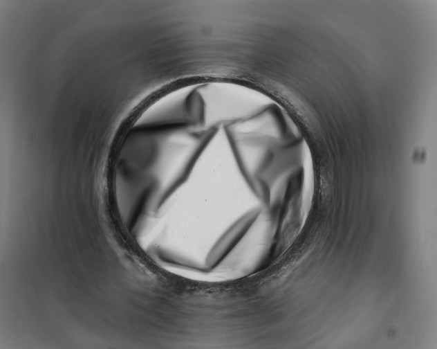 X0000101710532200808071225