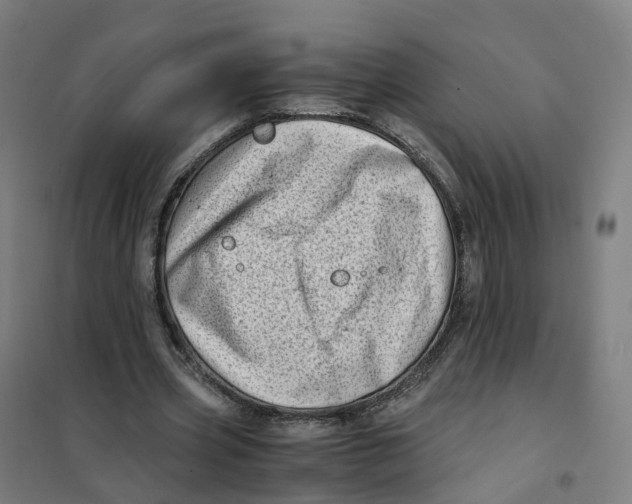 X0000101710533200808071225