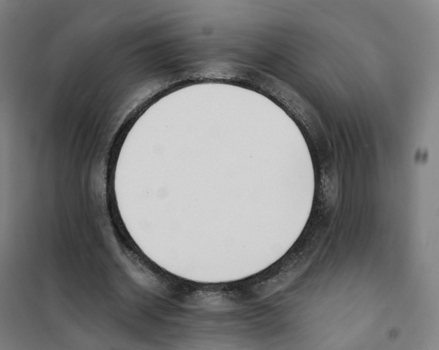 X0000101710534200808071225