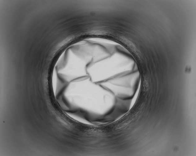 X0000101710535200808071225