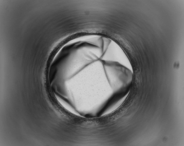 X0000101710536200808071225