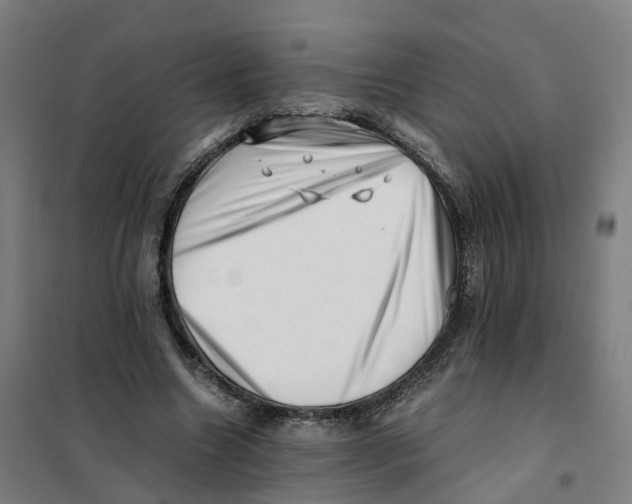 X0000101710538200808071225