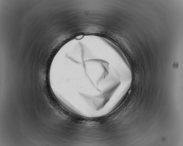 X0000101710539200808071225