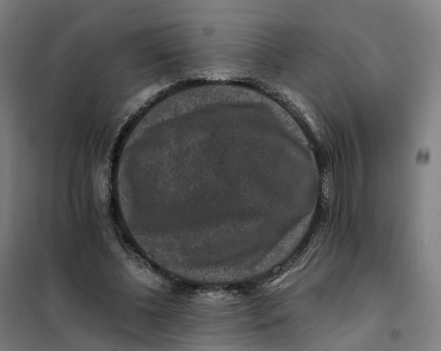 X0000101710540200808071225