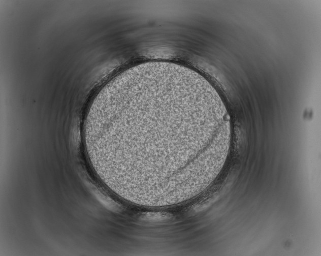 X0000101710541200808071225