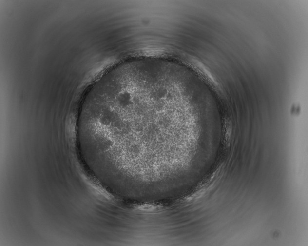X0000101710542200808071225