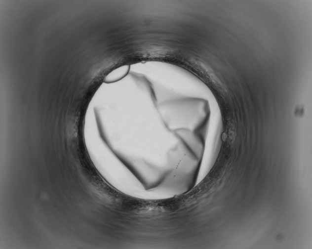 X0000101710543200808071225