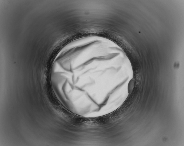 X0000101710544200808071225