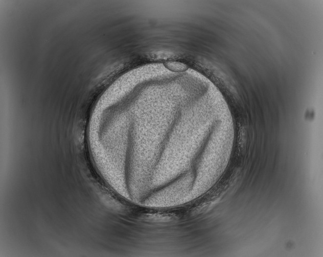 X0000101710545200808071225