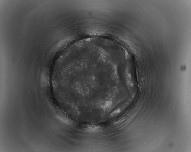 X0000101710547200808071226