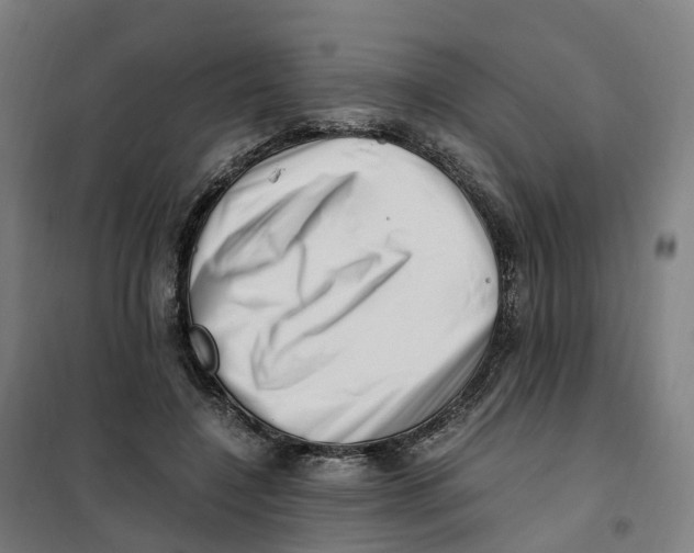X0000101710548200808071226