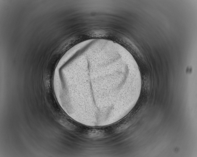 X0000101710549200808071226